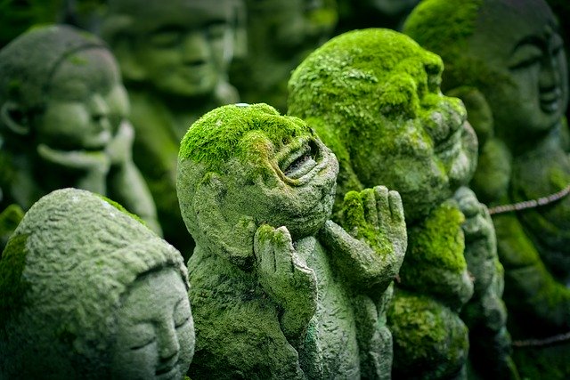 天下珍藏txt全集精校版下载